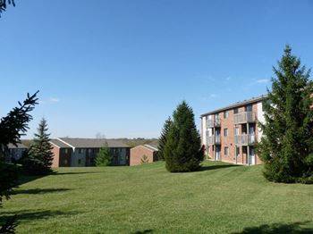 Lawns at fox run
